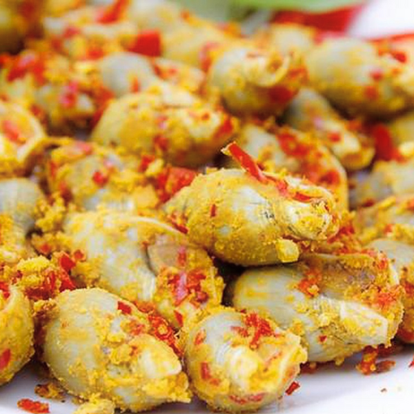 Ốc cà na giá sỉ