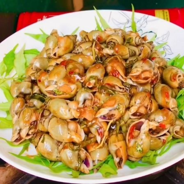 Ốc cà na giá sỉ