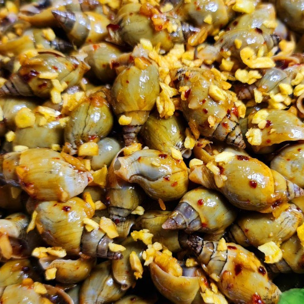 Ốc cà na chất lượng